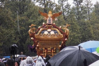 雨中の神輿