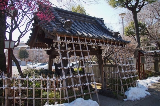 白山神社5