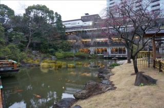 東郷神社4