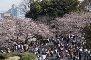 北の丸公園1