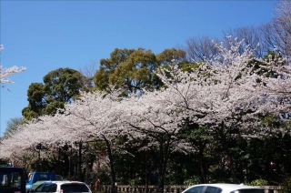 靖国神社1