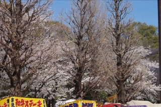 靖国神社3