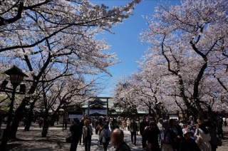 靖国神社4