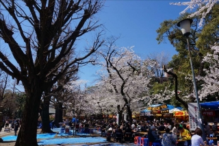 靖国神社5