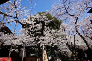 靖国神社6