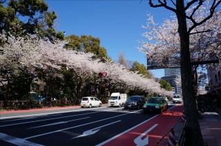 靖国神社7