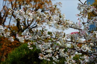 平川門6