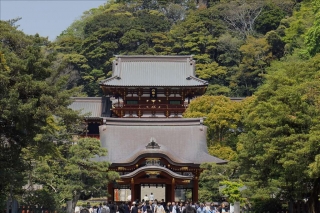 鶴岡八幡宮1