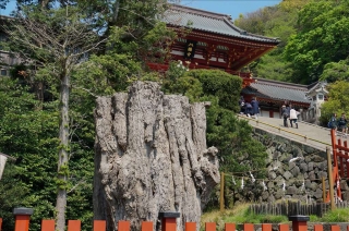 鶴岡八幡宮4