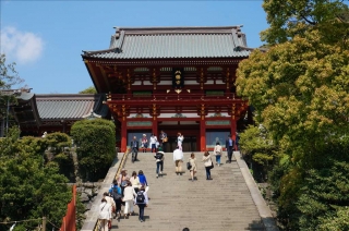 鶴岡八幡宮6