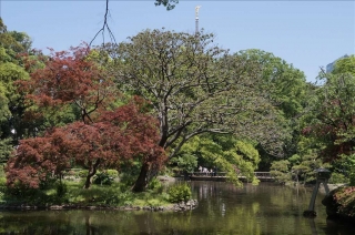 有栖川宮公園2