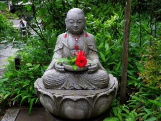 雨の鎌倉・花3