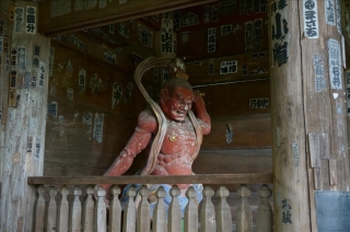 杉本寺11