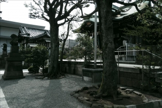 大鳥神社4